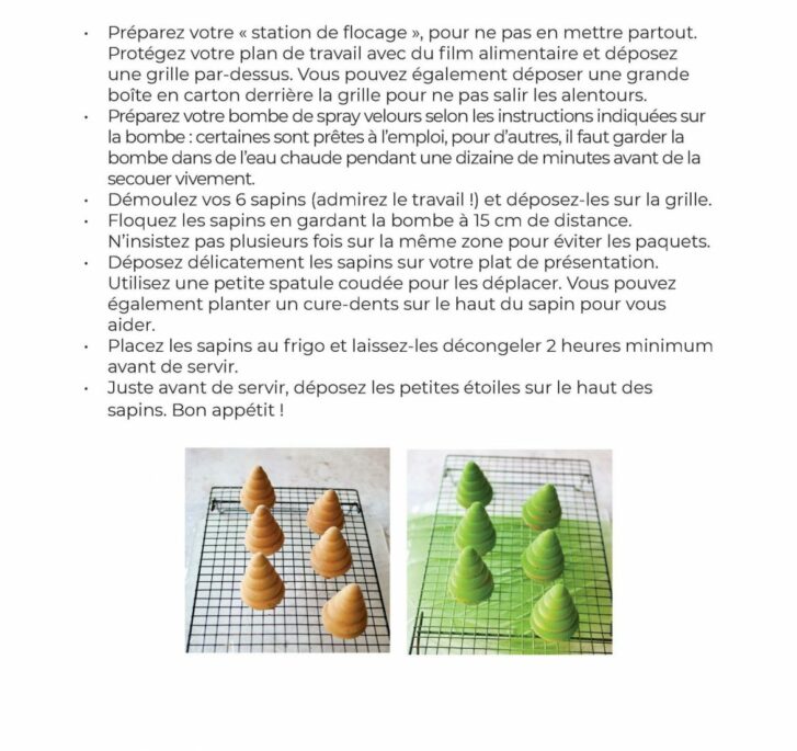 Duo fiches recettes - Les sapins & la bûche de fête - Image 7