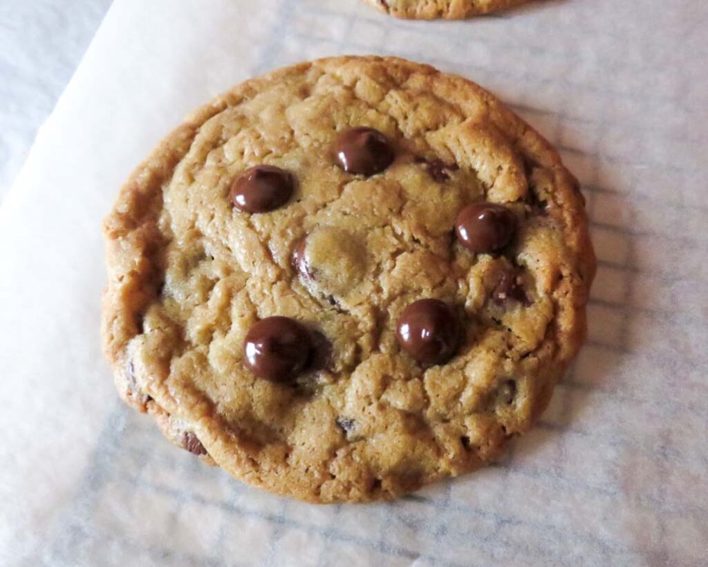 chocolate chip cookies