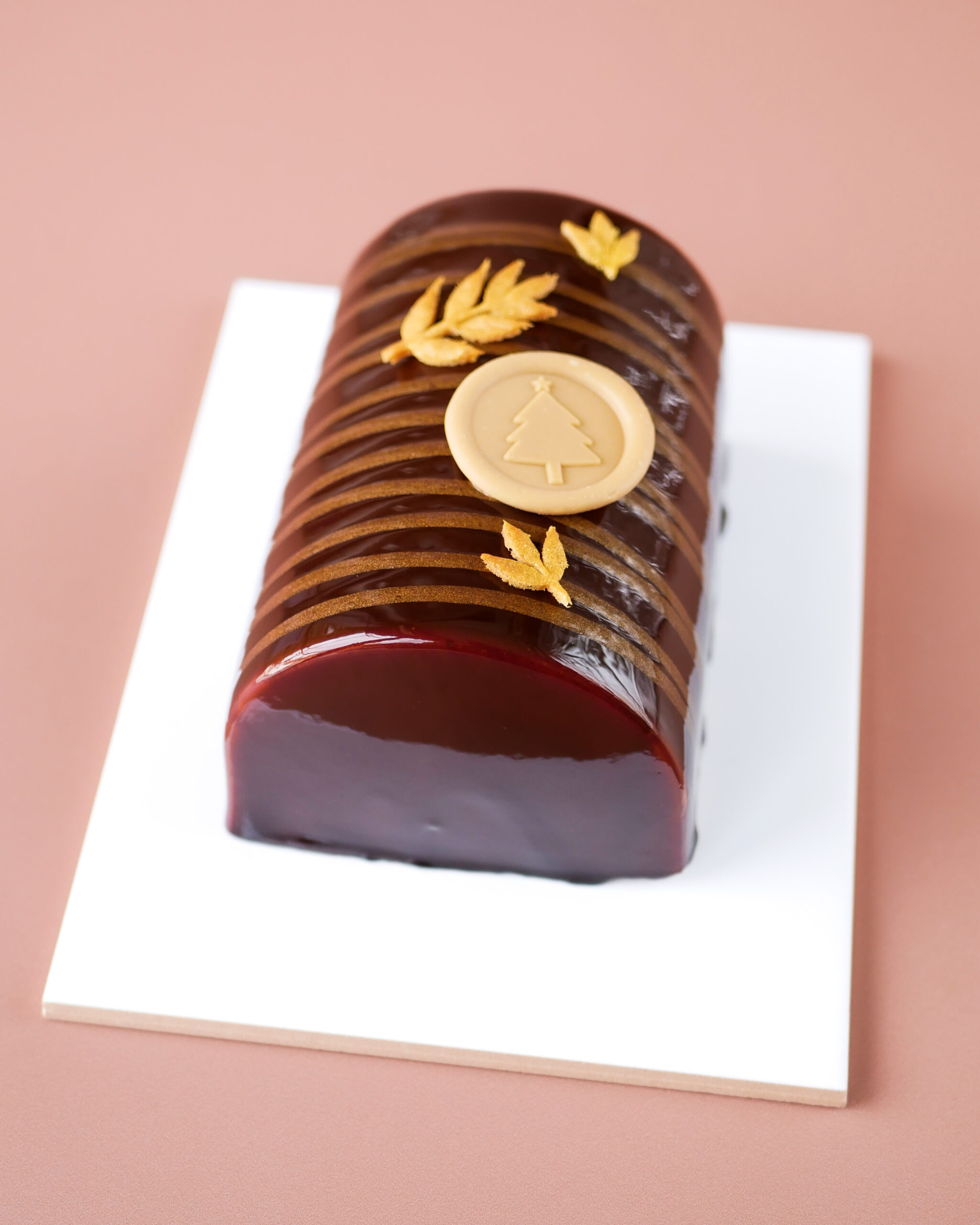 La bûche Choco Pistache